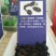 蛇胆，鲜蛇胆，干蛇胆