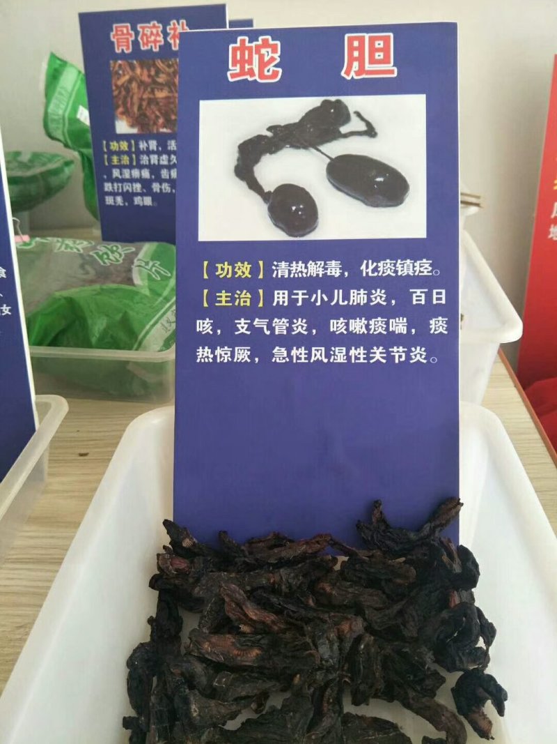 蛇胆，鲜蛇胆，干蛇胆