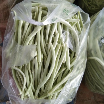 白芸豆大白各种规格各种包装白莲豆