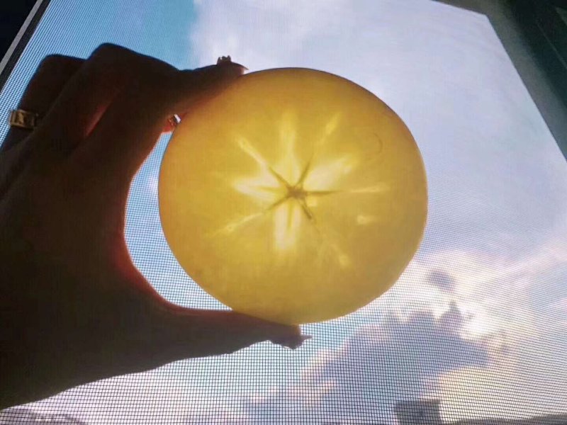 【预售+微信】阿克苏冰糖心苹果假一赔十