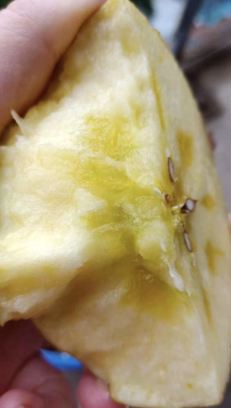 【预售+微信】阿克苏冰糖心苹果假一赔十