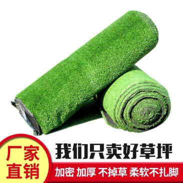 仿真草坪垫子假草户外绿色人造草皮地毯墙面装饰绿植塑料人工