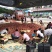 518油桃风味浓甜产地直供日产十万斤