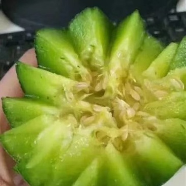 绿宝石甜瓜，口感脆甜，绿皮果肉翠绿，产地直一手货源，