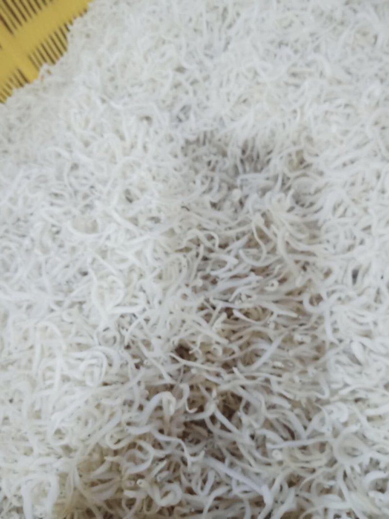 鱼干