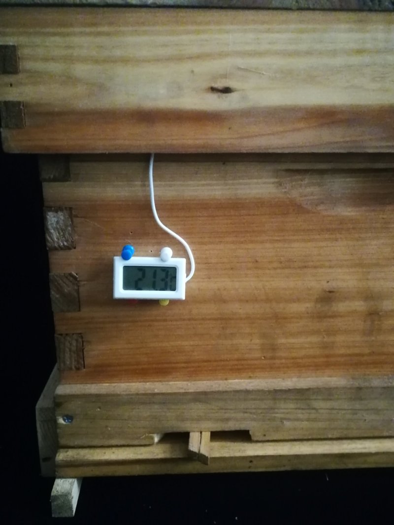 2019蜂具蜜蜂新品蜂箱温度仪养蜂工具测量蜂群温度专用温