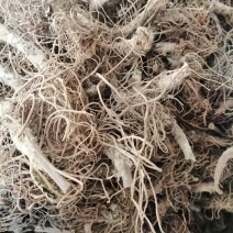 地胆头(根)，地胆草的根头干品，长期有货供应