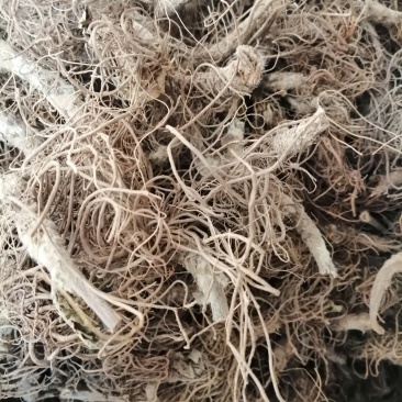 地胆头(根)，地胆草的根头干品，长期有货供应