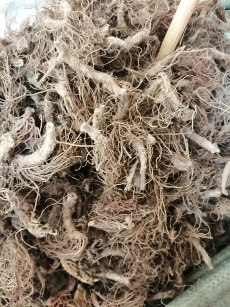 地胆头(根)，地胆草的根头干品，长期有货供应