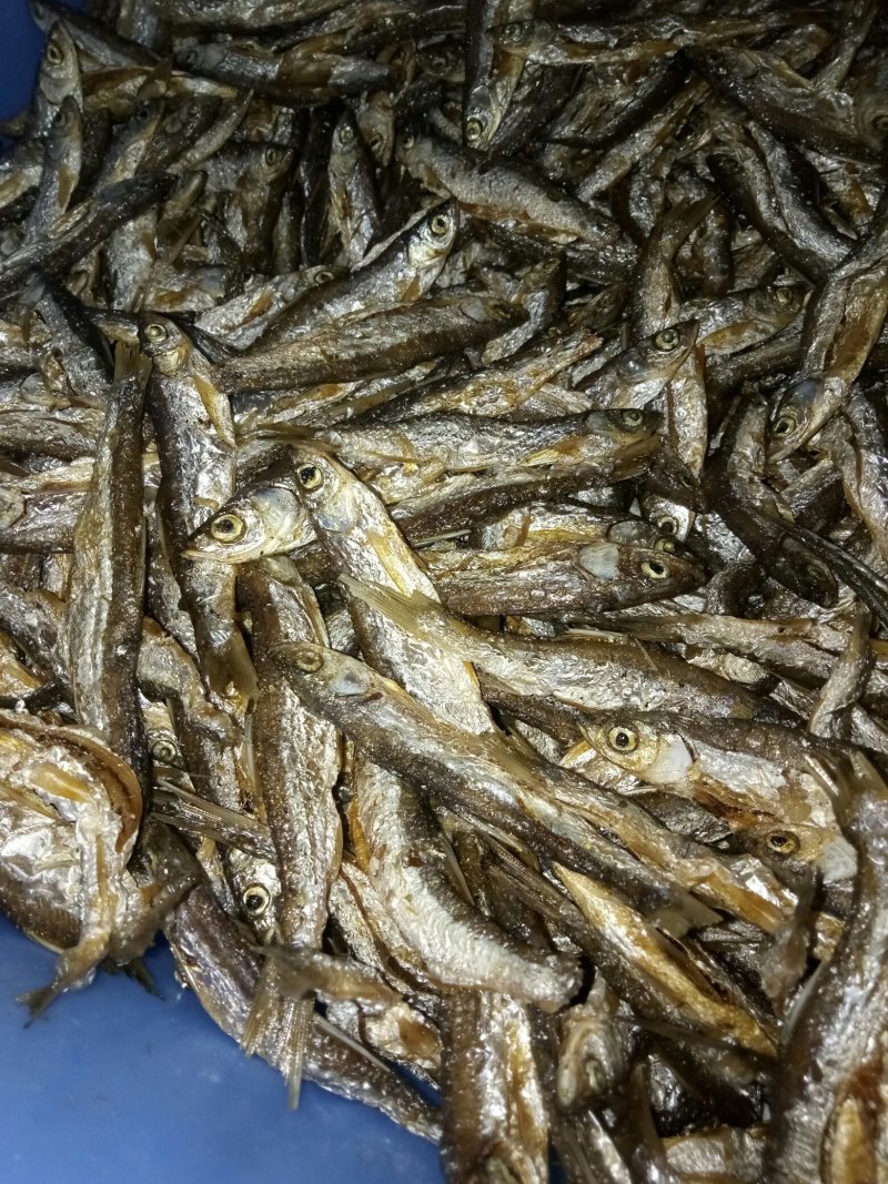 纯花生油自炸的廉刀鱼
