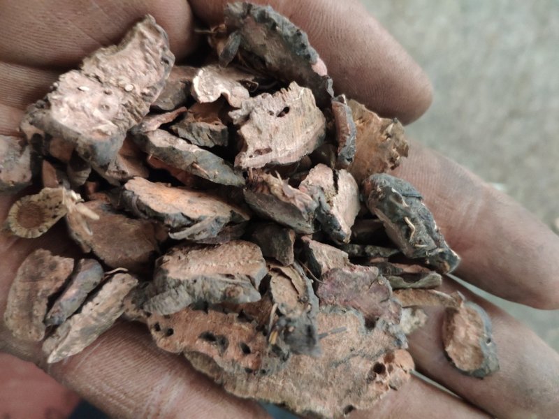 草河车正品货量大优惠不满意可以退换货