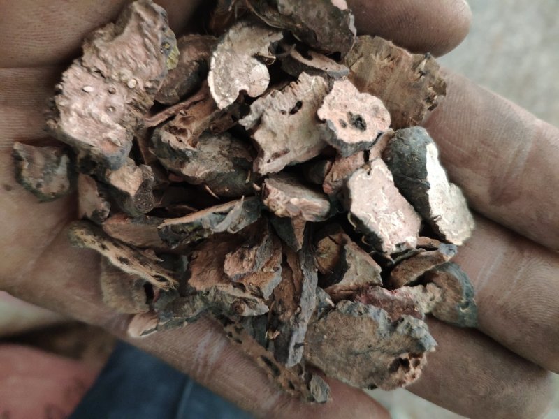 草河车正品货量大优惠不满意可以退换货