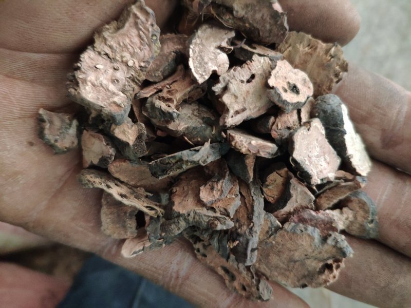 草河车正品货量大优惠不满意可以退换货
