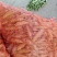 【蚕豆】湖北蚕豆大粒青皮蚕豆产地直发，随行就市