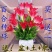 带芽香水百合种球百合花种球盆栽种球盆栽花卉盆栽花苗