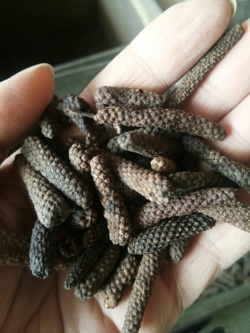 荜茇无硫调料大全批发零售一公斤起