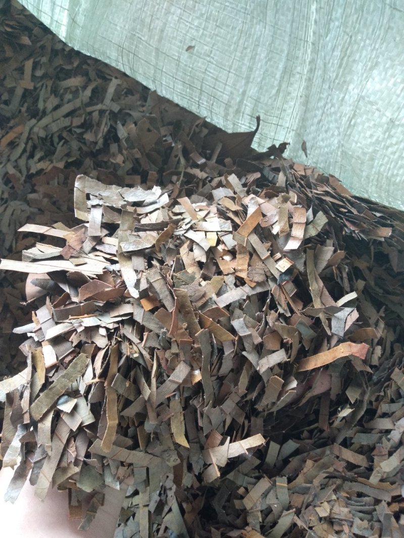 广西防城港桂叶子，桂叶子粉香料。加工