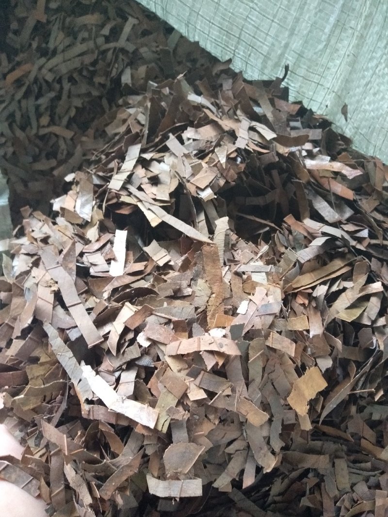 广西防城港桂叶子，桂叶子粉香料。加工