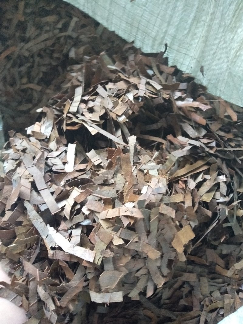 广西防城港桂叶子，桂叶子粉香料。加工