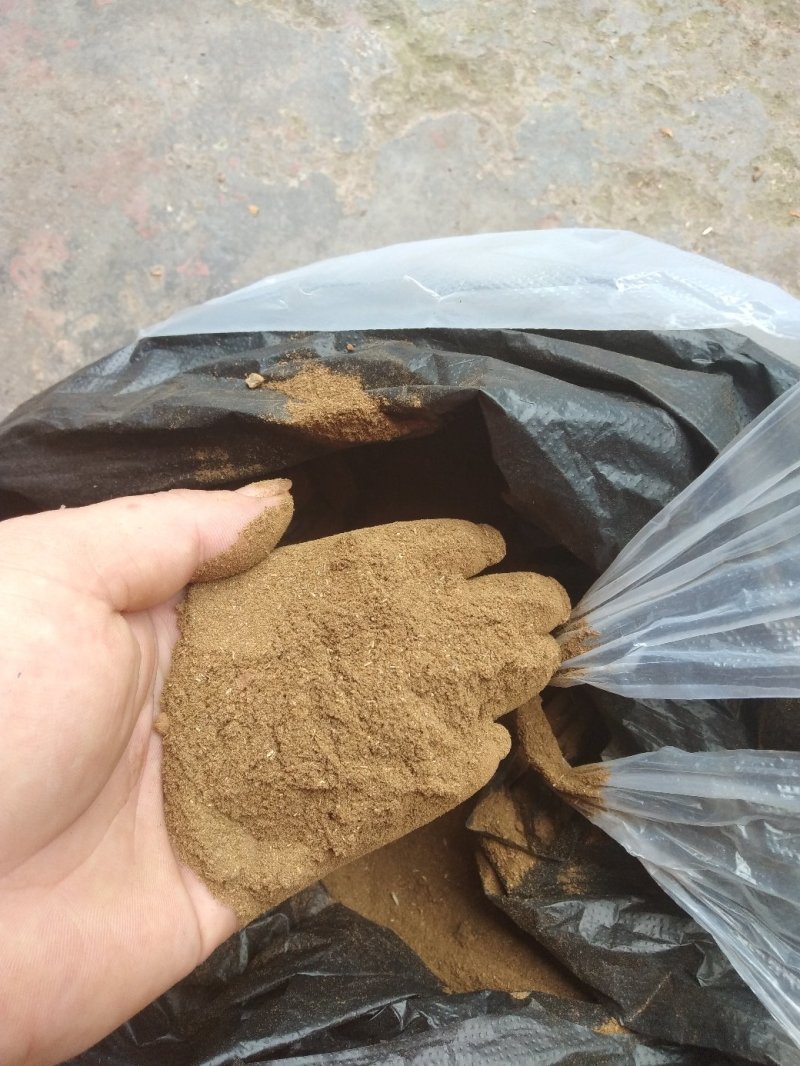 广西防城港桂叶子，桂叶子粉香料。加工