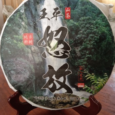 普洱茶生茶