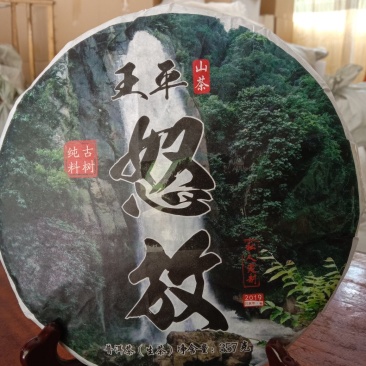 古树茶