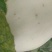 东方密翠梨系列甜？