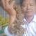 适合北方地区生长得，救穷草。不倒苗黄精种苗，高产品种。