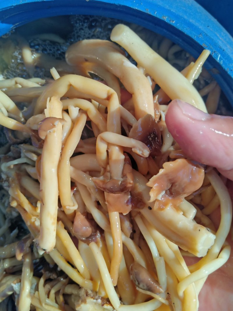 盐渍蘑菇，盐渍茶树菇，盐渍鸡腿菇，盐渍杏鲍菇，盐渍草菇，