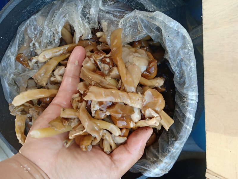 盐渍蘑菇，盐渍茶树菇，盐渍鸡腿菇，盐渍杏鲍菇，盐渍草菇，