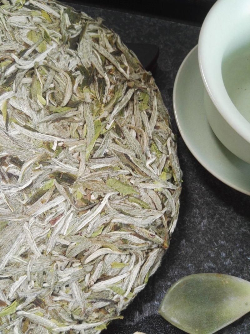 福鼎白茶2019年新茶白毫银针饼300克/饼包邮