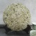 福鼎白茶2019年新茶白毫银针饼300克/饼包邮