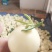 星甜甜宝白瓜量大