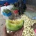 绿宝量大价格稳定质量好大量上市各种甜瓜
