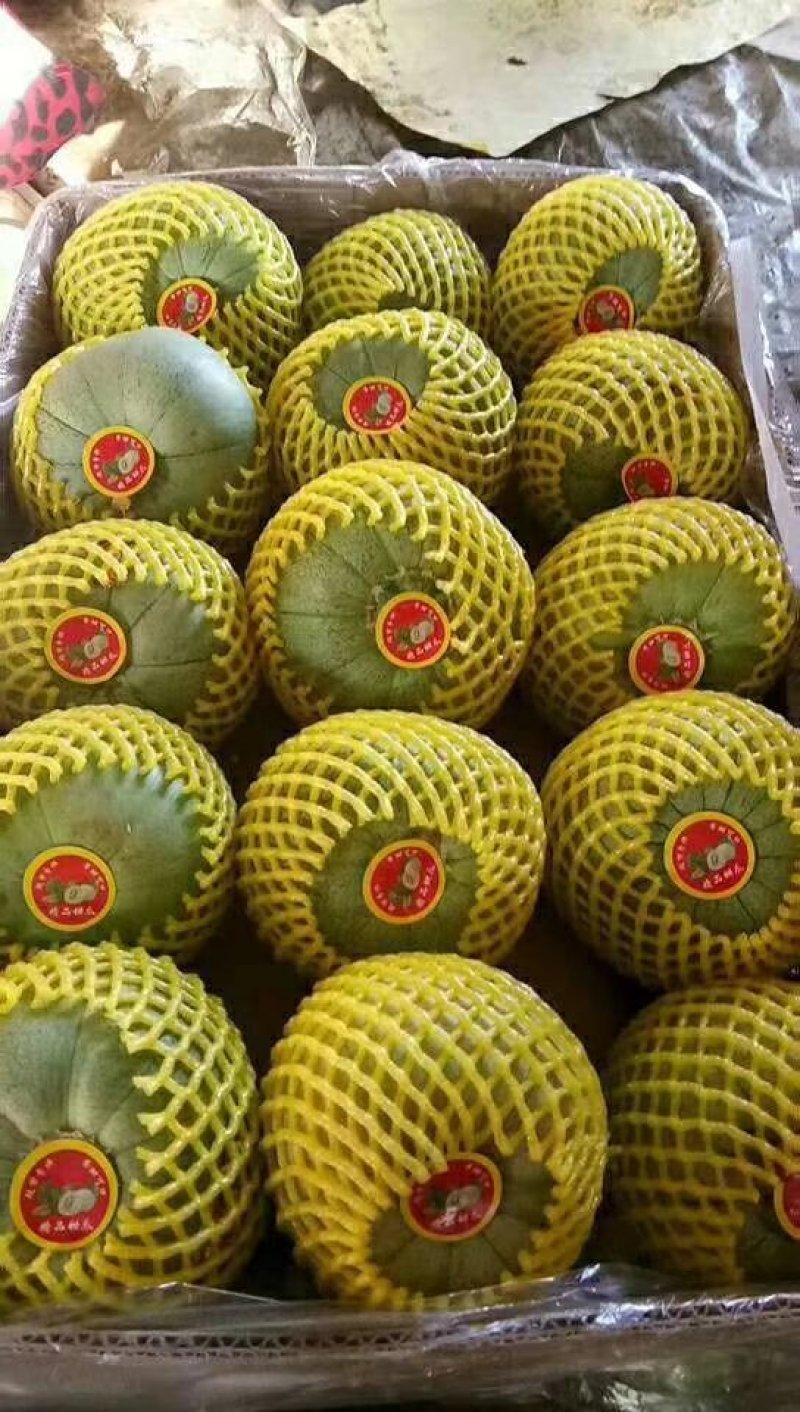 绿宝量大价格稳定质量好大量上市各种甜瓜