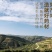 甘肃岷县产地直供无硫黄芪指甲片，规格齐全，产地直发。