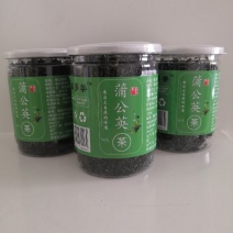 蒲公英茶50克装