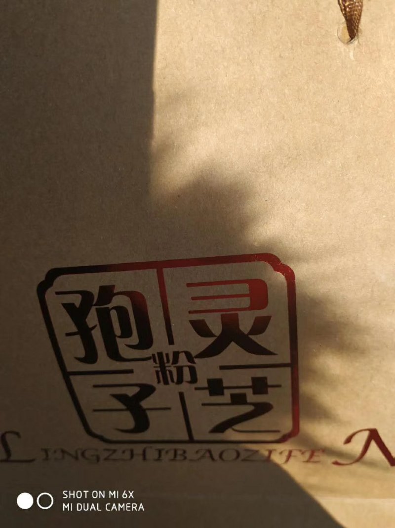 东北木段灵芝孢子粉