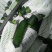 香蕉西葫芦，黄节瓜，青节瓜
