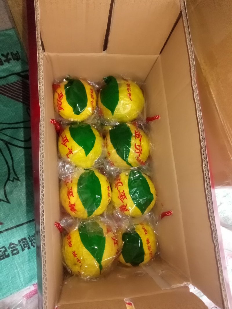 黄金贡柚