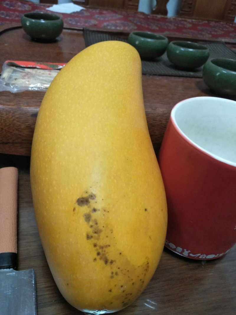 (包邮.包技术)金煌芒，四季蜜芒嫁接苗次年可挂果