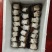赤松茸（大球盖菇）鲜品