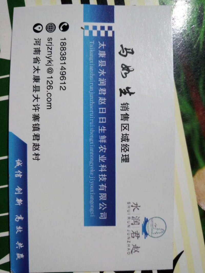 赤松茸（大球盖菇）鲜品