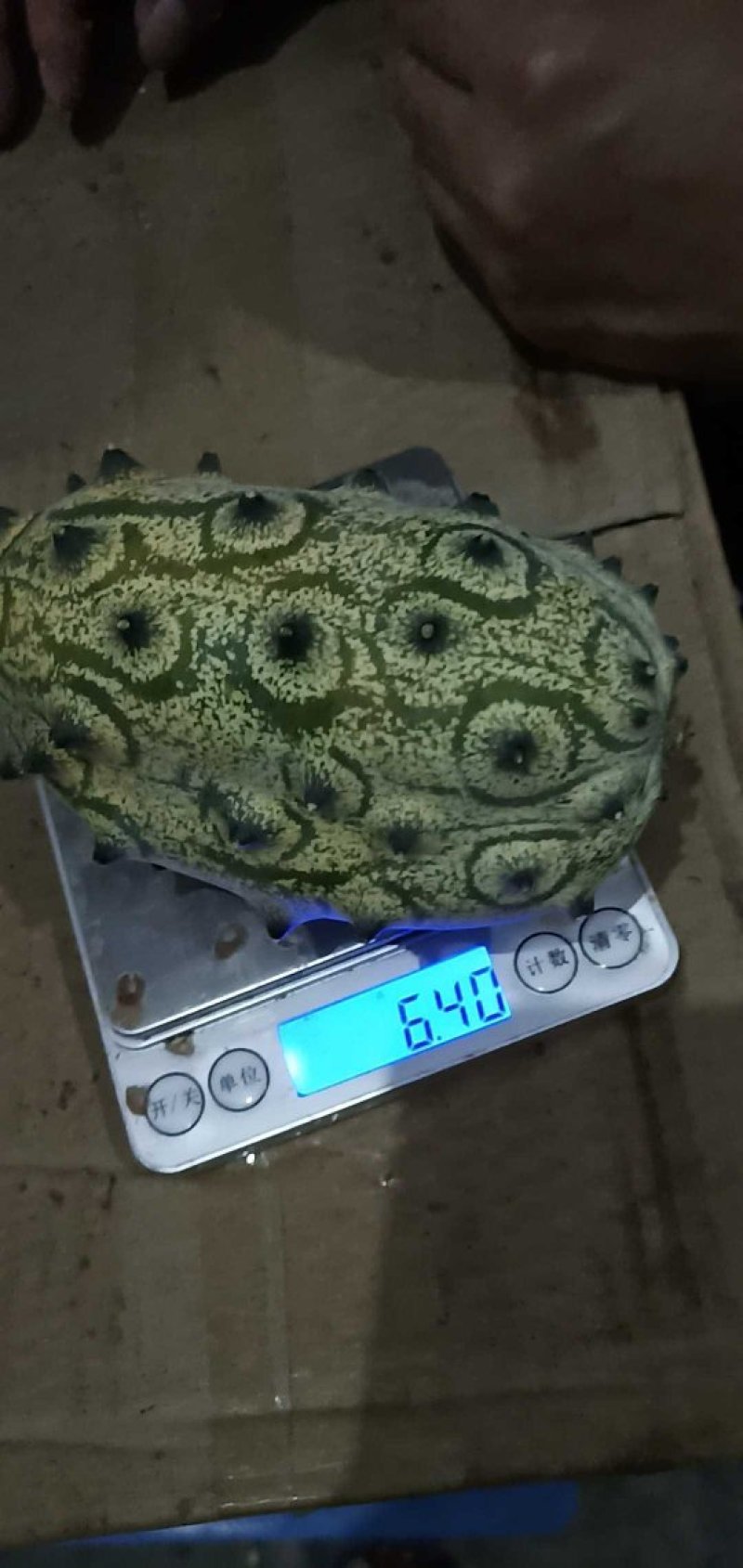 火参果孕妇水果灭霸刺角瓜