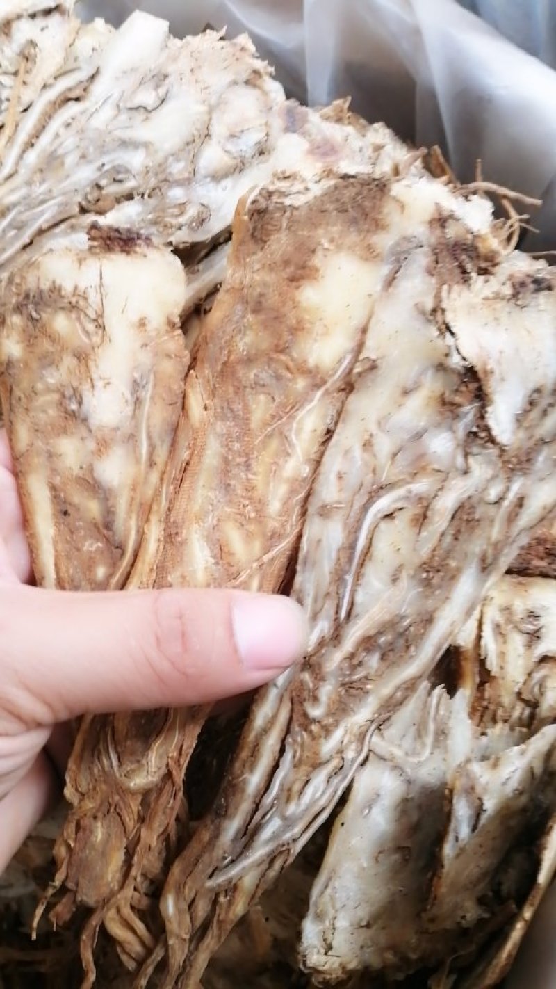 当归统片，带边皮的全当归统片，货干颜色漂亮性价比高