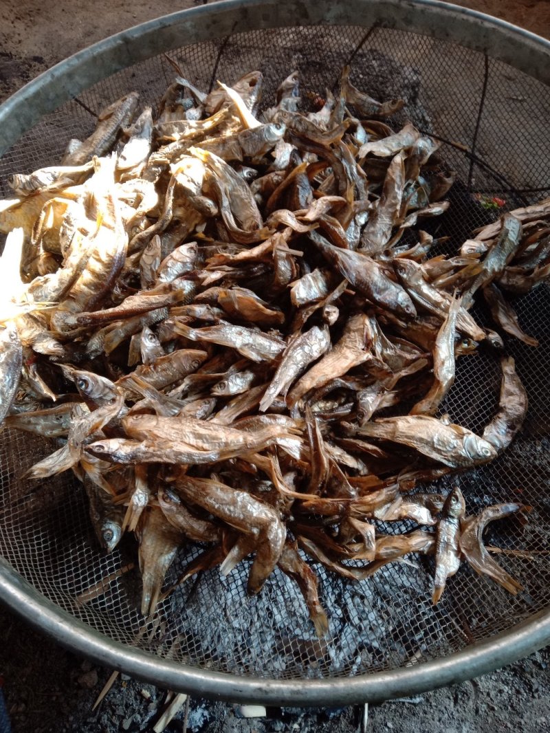 鱼干