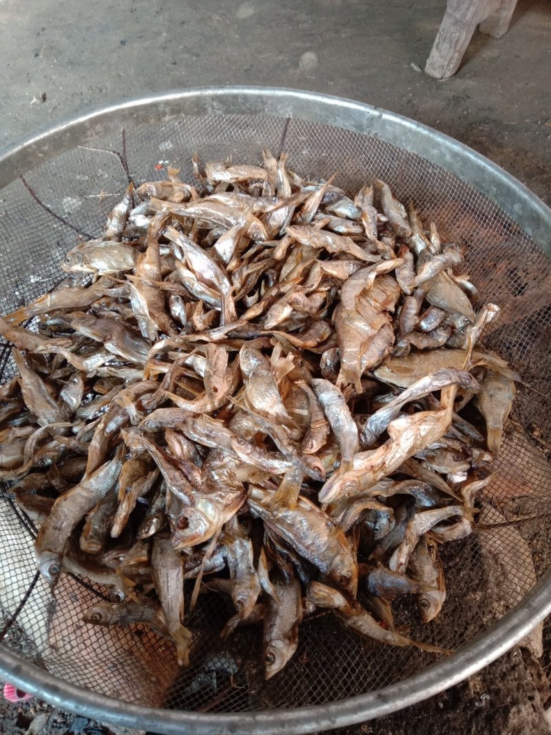 鱼干