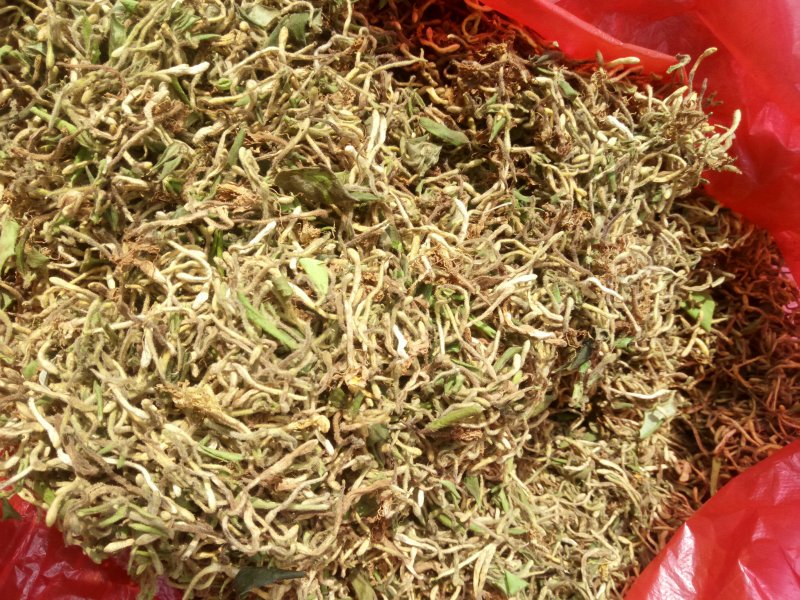 重庆秀山，野生金银花（野生带毛金银花）