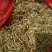 重庆秀山，野生金银花（野生带毛金银花）