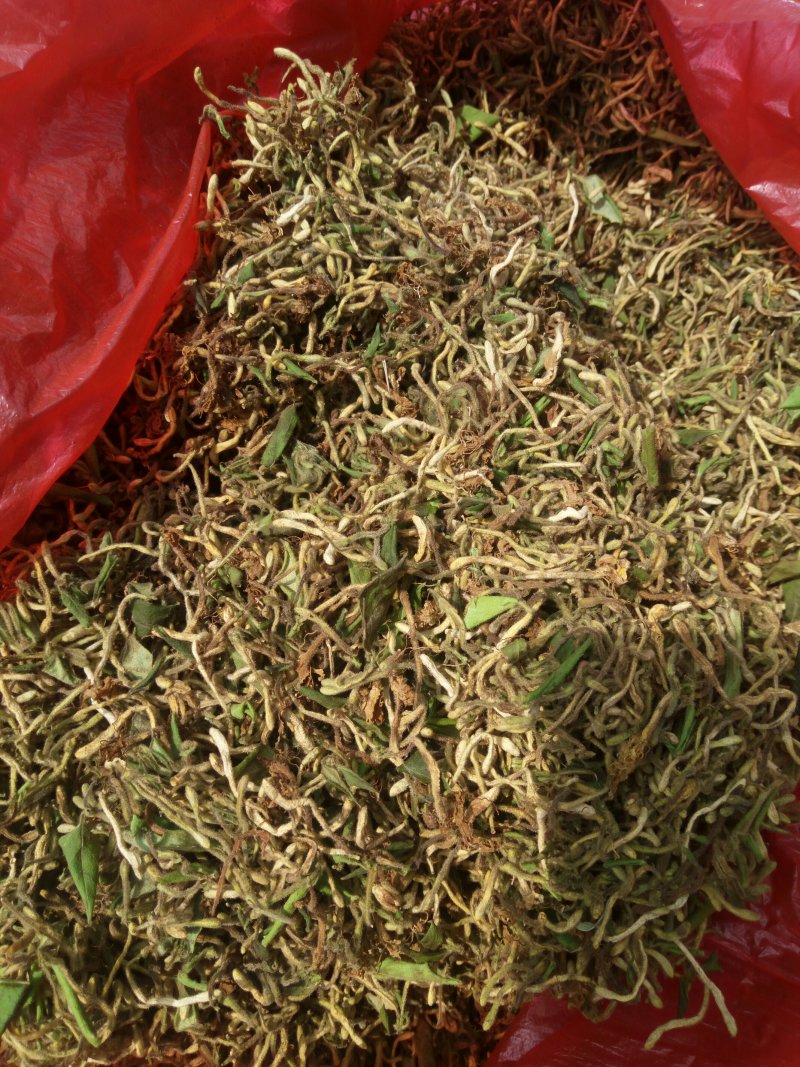重庆秀山，野生金银花（野生带毛金银花）
